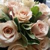 Silver Birch Florist