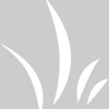Pimlico Dental Care