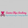 Canine Clips