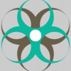 Expert Virtual Assistant Services