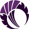 Cricket Scotland