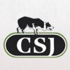 C S J K9