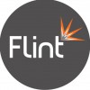 Flint Property Group