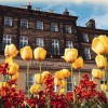 The Crescent Hotel