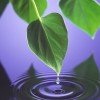 Waste Management Total Solutions