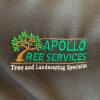 Apollo Tree Services