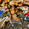 Buddy Riders