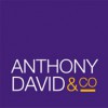 Anthony David