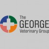 The George Veterinary Group