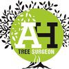 AH Tree Surgeon