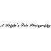 A Knight's Tale Photography