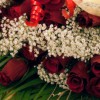 Hedgemead Flowers