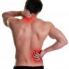 Alpha Chiropractic Clinic