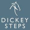 Dickey Steps Riding Centre