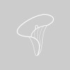 Paul Walsh Independent Family Funeral Directors