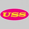Unique Sound Systems