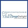 Dogs Delight