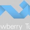 Newberry Tully