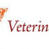 387 Veterinary Centre