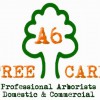 A6 Tree Care