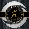 Kenagi Academy Of Martial Arts