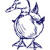 The Blue Mallard