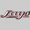 Jays Mobile Valeting & Detailing