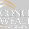 Concise Wealth Management