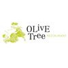 Olive Tree