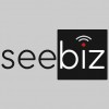 SeeBiz Web, Design & SEO