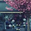 Ann & Pam's Florist