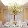 Designer Chair Covers To Go
