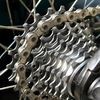 Palace Cycles
