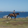St Mary's Riding Centre