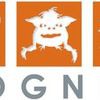 Cognisi Executive Coaching