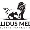 Validus Media