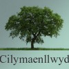 Cilymaenllwyd Care Home