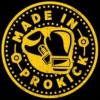 Prokick Gym