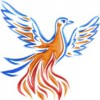 Phoenix Audio Visual Solutions