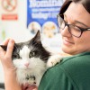 Thanet Vets Margate