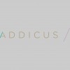 ADDICUS Chartered Accountants
