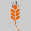 Chemical & Agricultural Services