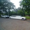 Men In White Limos