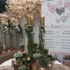 Lily Rose Events