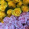 Hobsons Florist