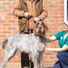 Boness Veterinary Hospital