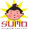 Sumo Experience