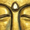 Organic Mind