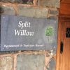 Split Willow