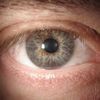 Steve Mayer Opticians